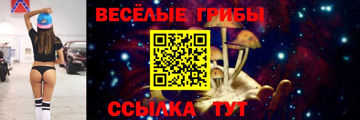 Псилоцибиновые грибы мухоморы  Вход с VPN  Архангельск  Псилоцибиновые грибы мицелий 