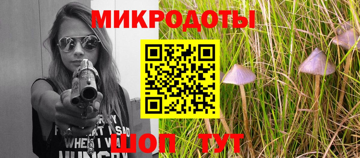 Галлюциногенные грибы Psilocybe Архангельск